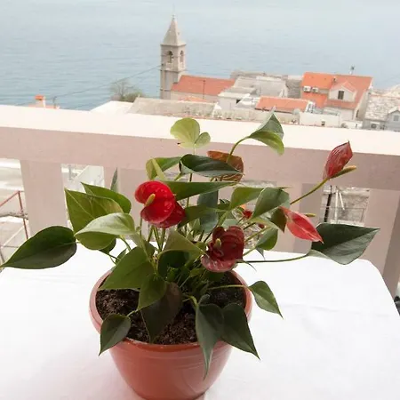 Antonio Apartment *